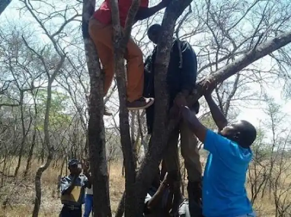 Married Zimbabwean Policeman Commits Suicide After Being Dumped By Girlfriend